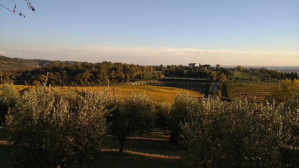 B&B Villa Roncatti Parona di Valpolicella Zewnętrze zdjęcie