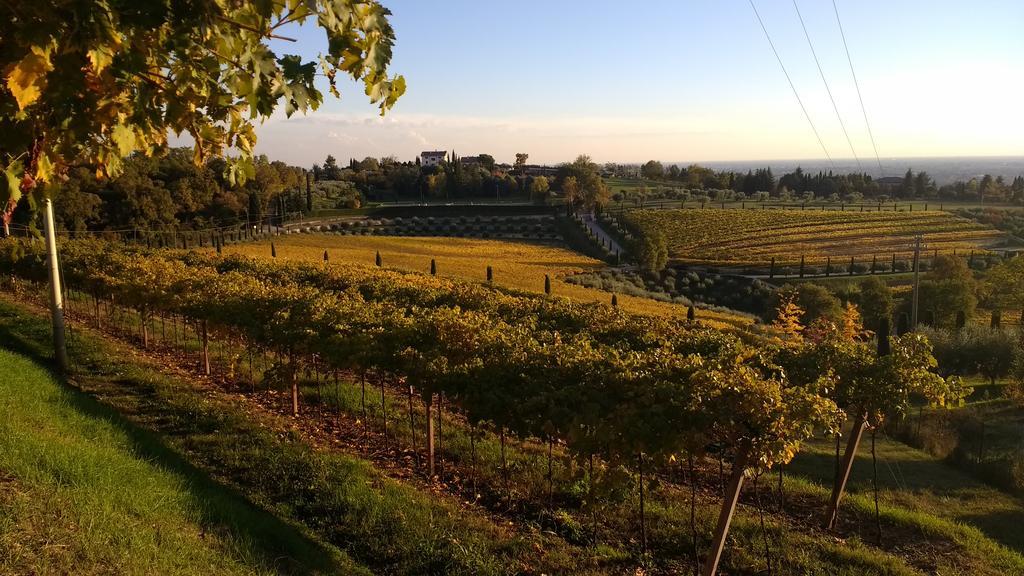 B&B Villa Roncatti Parona di Valpolicella Zewnętrze zdjęcie