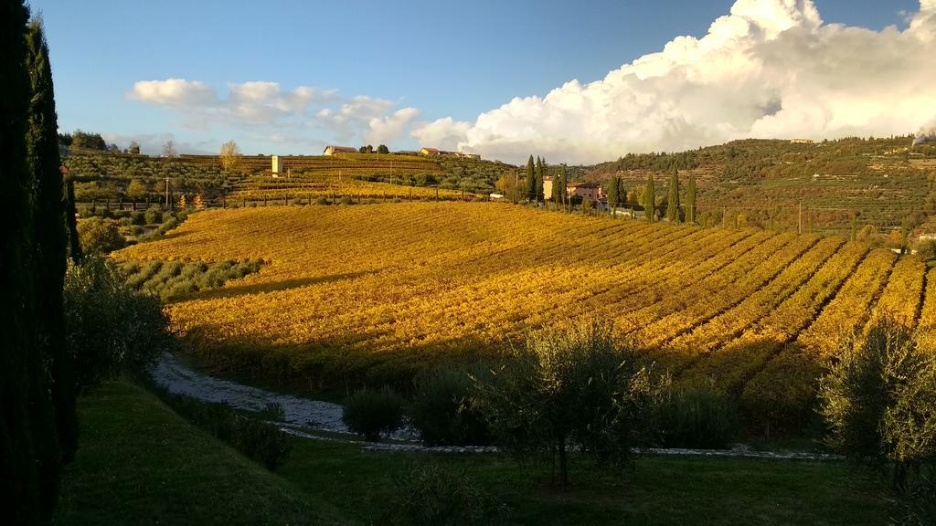 B&B Villa Roncatti Parona di Valpolicella Zewnętrze zdjęcie