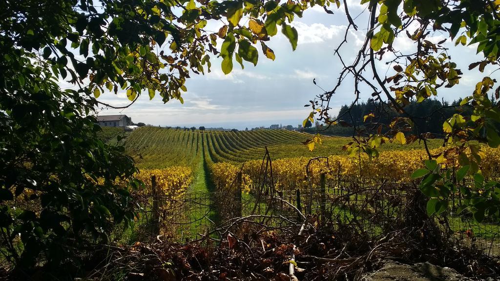 B&B Villa Roncatti Parona di Valpolicella Zewnętrze zdjęcie