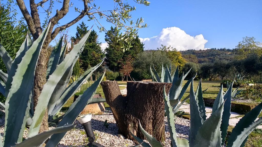 B&B Villa Roncatti Parona di Valpolicella Zewnętrze zdjęcie